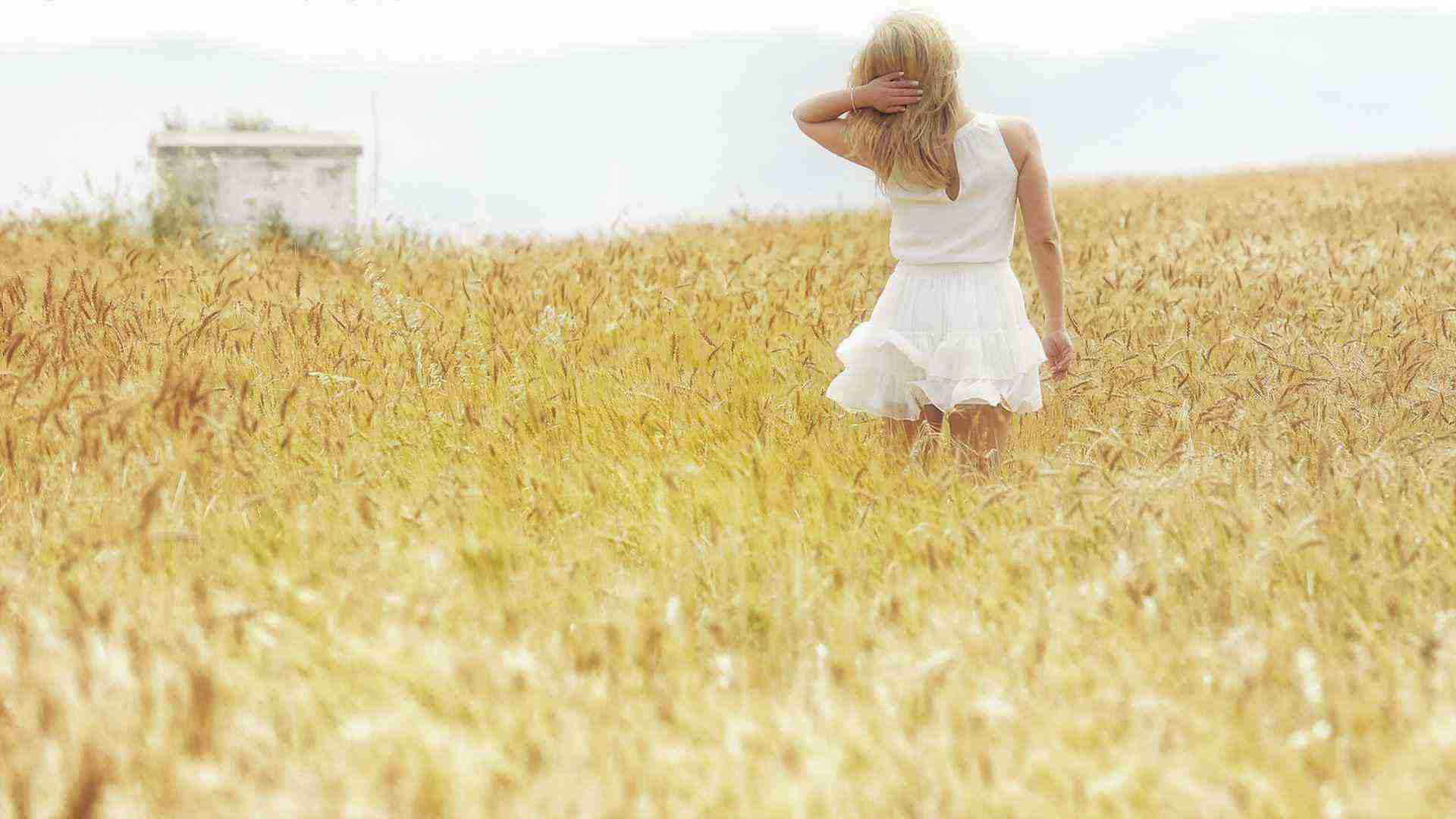 英偉達，大消息！